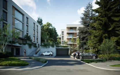 Robinia